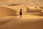 Google съемка пустыни верблюд Фото 04